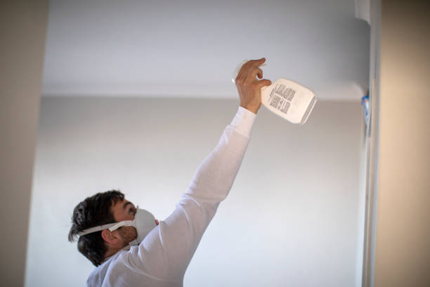 Best Mold Testing  in Reno, TX