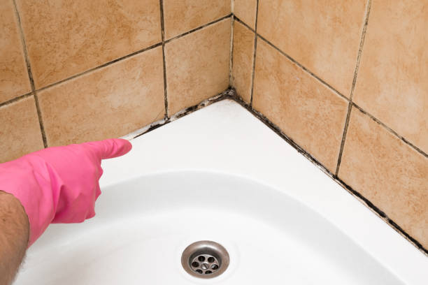 Best Emergency Mold Removal  in Reno, TX